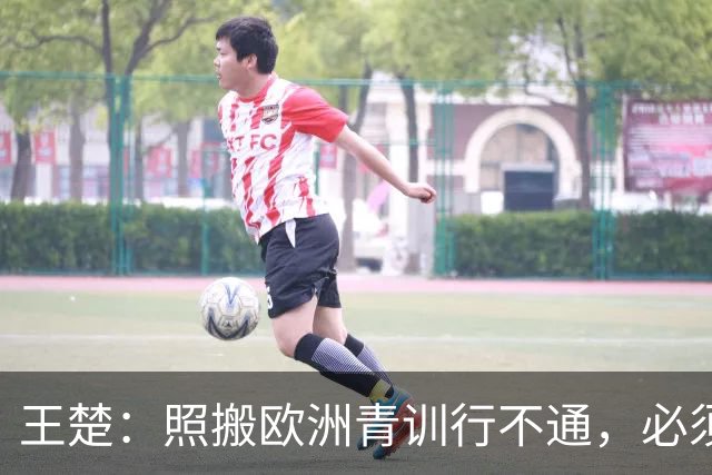 王楚：照搬欧洲青训行不通，必须培养出有自主决策能力的球员